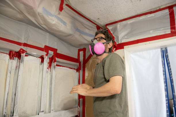 Mold Remediation for Rental Properties in New Cumberland, WV