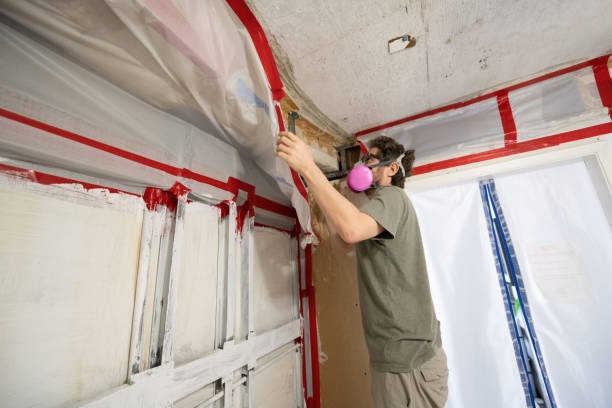  New Cumberland, WV Mold Removal Pros